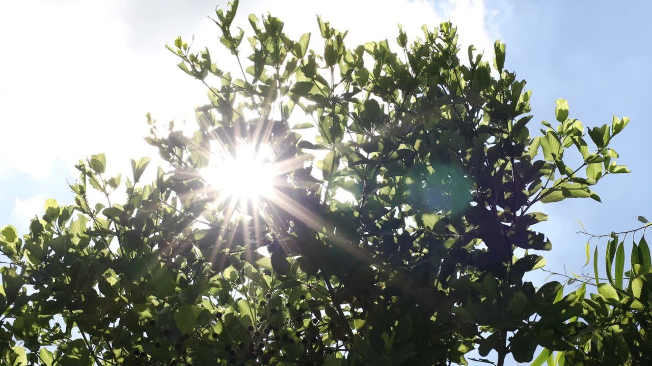 Es wird wieder heiß in weiten teilen deutschlands