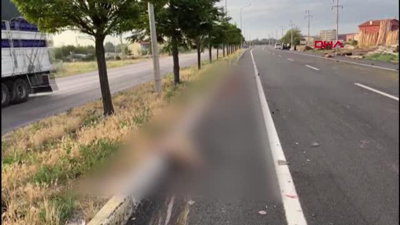 Son dakika haberi | HAFİF TİCARİ ARAÇLA SÜRÜYE ÇARPTI, 19 KOYUN ÖLDÜ