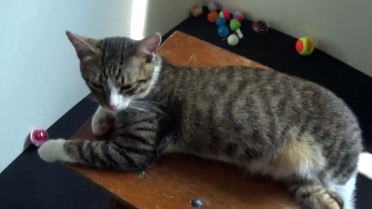Playing Makes Me Soo Sleepy