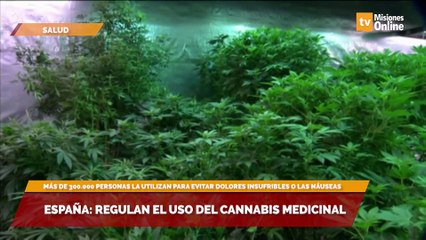 España: regulan el uso del cannabis medicinal
