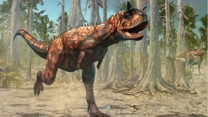 Researchers unearth never-seen-before remains of a giant dinosaur