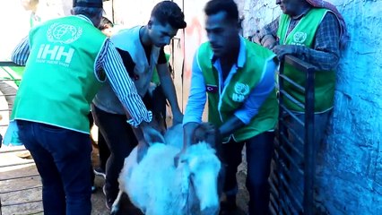 İHH bu bayramda da yüzleri güldürdü