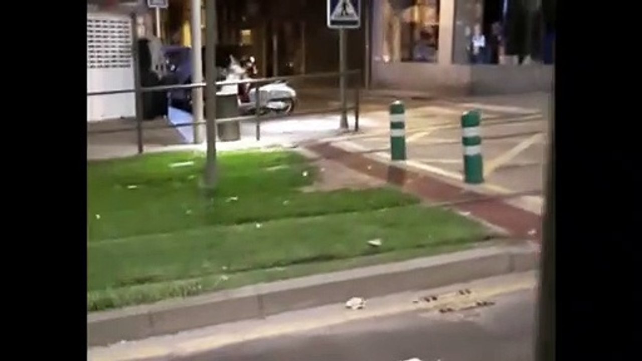 El problema de las ratas en Santa Cruz: denuncian que una vecina las alimenta