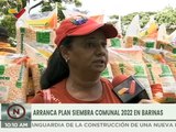 Activan Plan de Siembra Comunal 2022 con financiamiento y circuitos económicos comunales en Barinas