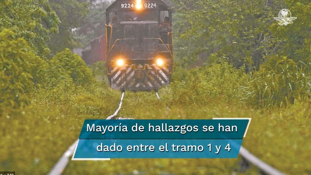 INAH descubre más de 24 mil estructuras arqueológicas en construcción del Tren Maya