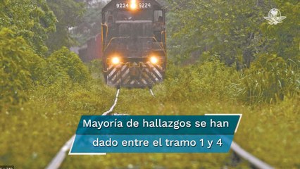 INAH descubre más de 24 mil estructuras arqueológicas en construcción del Tren Maya