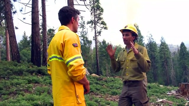 Yosemite fire grows as crews protect iconic sequoias