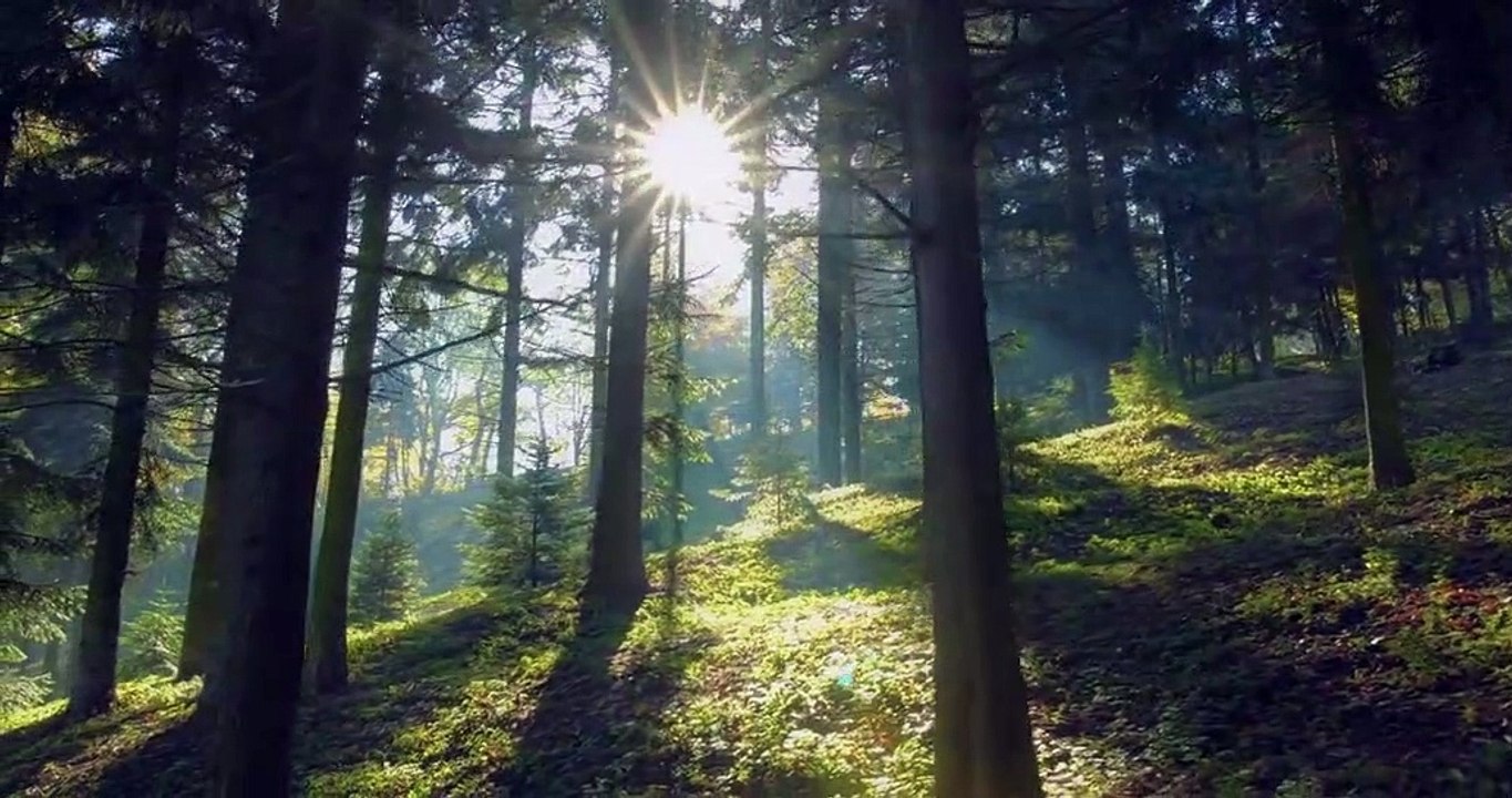 Die letzten Zaren Staffel 1 Folge 2 HD Deutsch