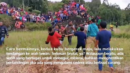 10 Budaya Tana Toraja || 10 Tana Toraja Culture