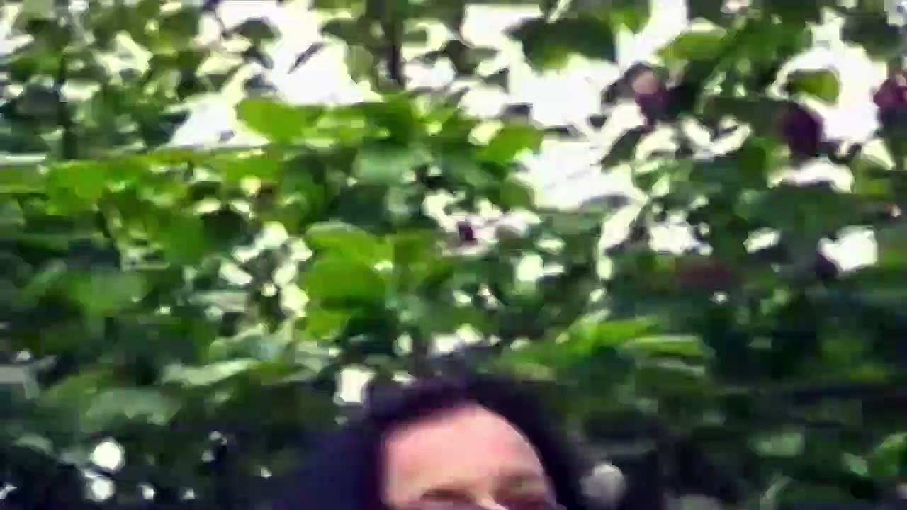 True Horror (2018) Staffel 1 Folge 3 HD Deutsch