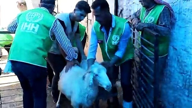 İHH 2.6 milyon kişiye kurban eti ulaştırdı