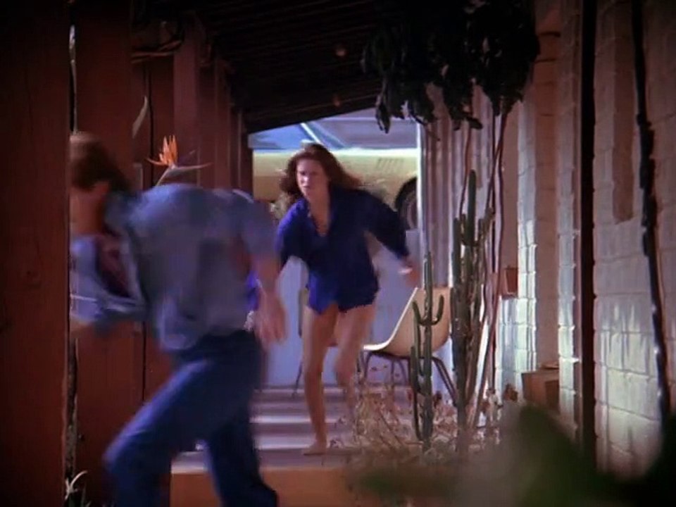 Remington Steele Staffel 1 Folge 2 HD Deutsch