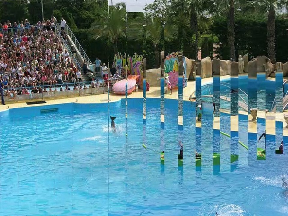 France (Marineland_1)