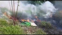 Incêndio em vegetação deixa Bairro Santa Cruz tomado por fumaça
