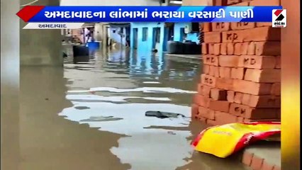 બનાસકાંઠામાં વરસાદની એન્ટ્રી| ઓલપાડમાં કરંટ લગતા 7 ભેંસના મોત