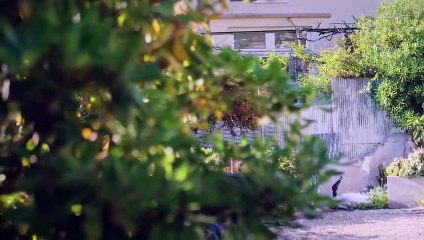 Plus Belle la Vie - Lola pète un câble chez Betty