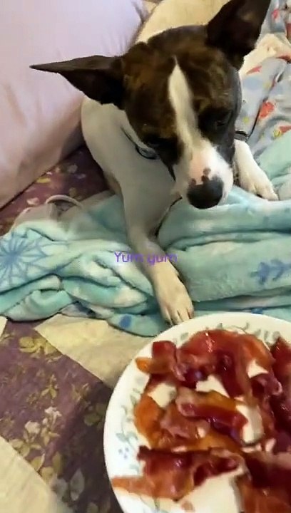 Princess gets breakfast in bed!