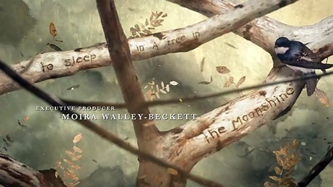 Anne with an E Staffel 1 Folge 1 HD Deutsch