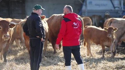 Almanya'daki "şoksuz kesim" yasağı nedeniyle kurbanlarını Polonya'da kestirdiler