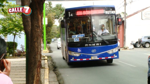 C7-buses-110722
