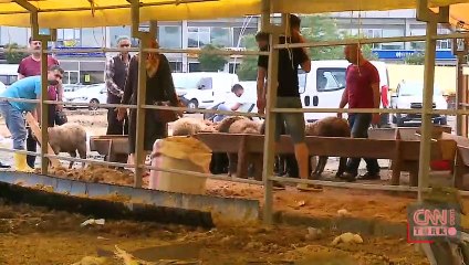 Fiyatlar düştü, kurbanlıklar satıldı