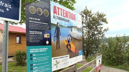 Myriophylle à épis: situation stable, mais fragile au Lac Témiscouata