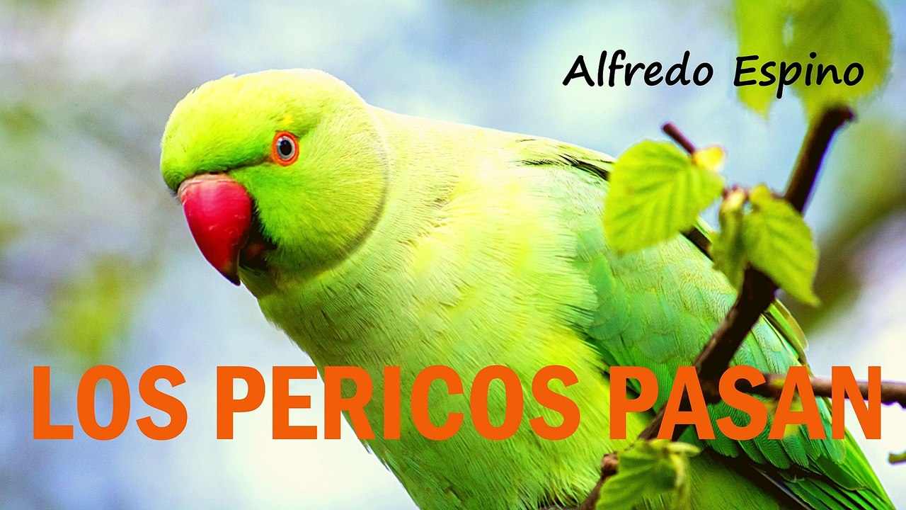 LOS PERICOS PASAN ALFREDO ESPINO | Jícaras Tristes Pájaros de Leyenda | Alfredo Espino Poemas