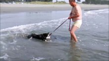 竜宮の磯