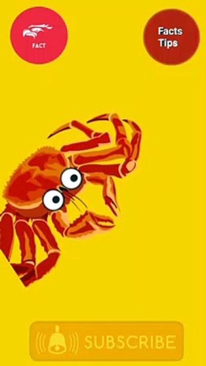 Crab