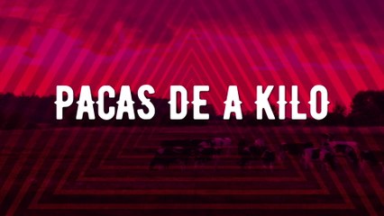 Uziel Payan - Pacas De A Kilo