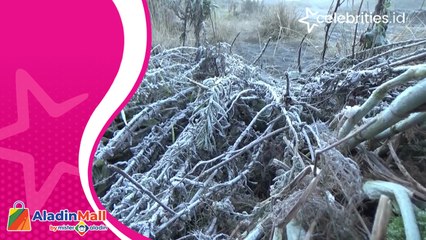 Fenomena Embun Beku di Gunung Bromo