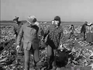 El Fugitivo - Temporada 3 Capitulo 24 - Título: Viento salvaje