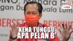 'Umno akan buat Pelan B jika ROS tak lulus pindaan perlembagaan'