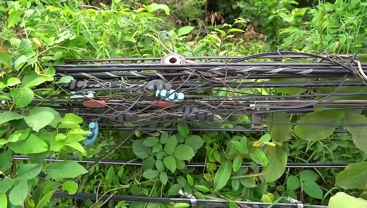 สระแก้ว