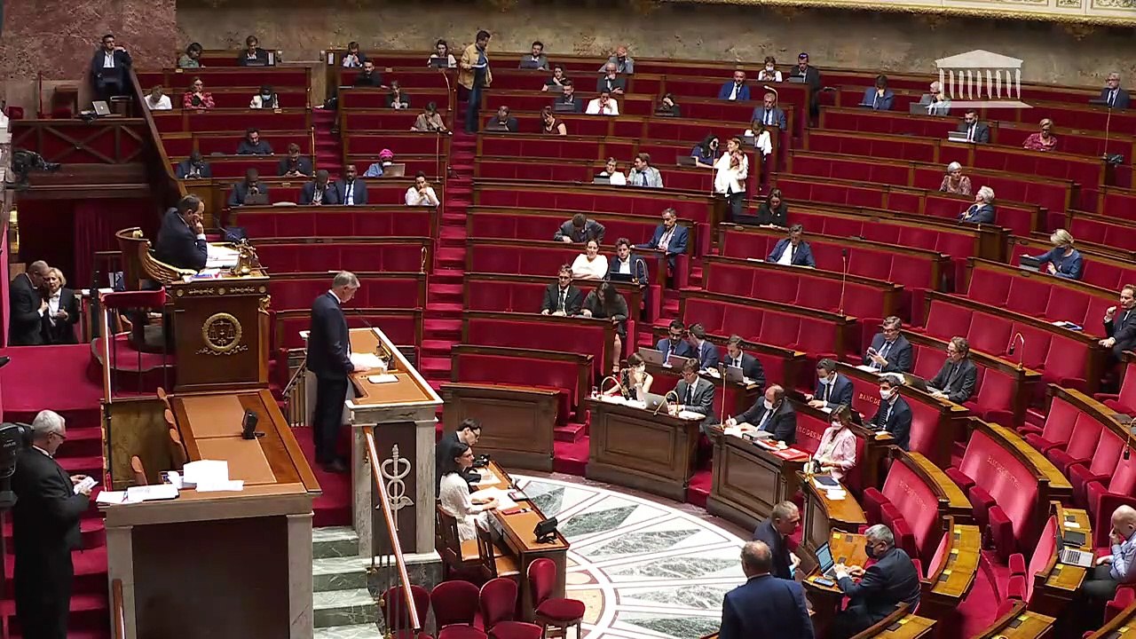 2ème séance : Veille et sécurité sanitaire en matière de lutte contre la covid-19 (2ème partie) - Lundi 11 juillet 2022