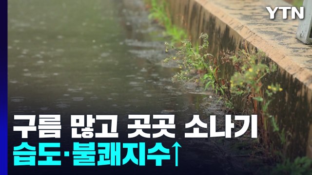 [날씨] 오늘도 무더위, 충청 이남 소나기...내일 다시 강한 장맛비 / YTN