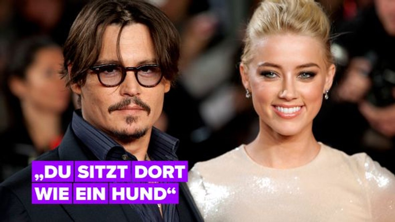 Johnny depp vergleicht amber heard auf seinem neuen album mit einem hund