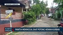Panitia Meninggal Saat Potong Hewan Kurban