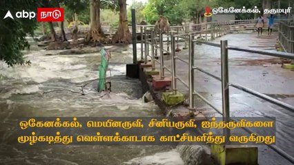 Hogenakkal Falls Flood: கரை புரண்டு வரும் காவிரி ! ஒகேனேக்கலில் குளிக்க தடை