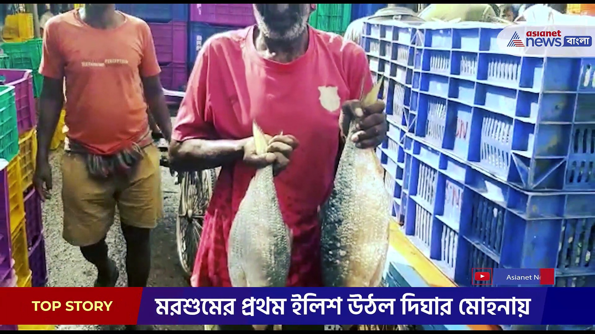 মরশুমের প্রথম, জেলেদের জালে কয়েক টন ইলিশ দীঘা মোহনায়