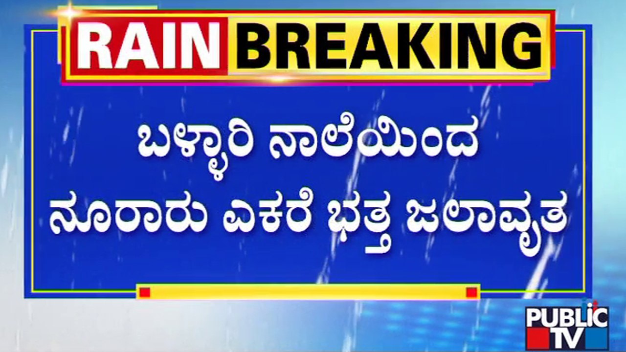 ಬಳ್ಳಾರಿ ನಾಲೆಯಿಂದ ನೂರಾರು ಎಕ್ಕರೆ ಭತ್ತ ಜಲಾವೃತ | Belagavi Rain Effect