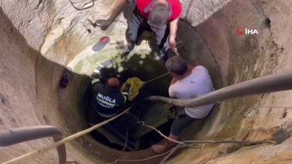 Kuyuya düşen porsuk böyle kurtarıldı