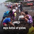 Unli-tahong sa Negros Occidental, itinuturing na 