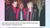 Julie Andrieu et Jean-Marie Périer, les ex toujours proches : cette photo qui ne trompe pas