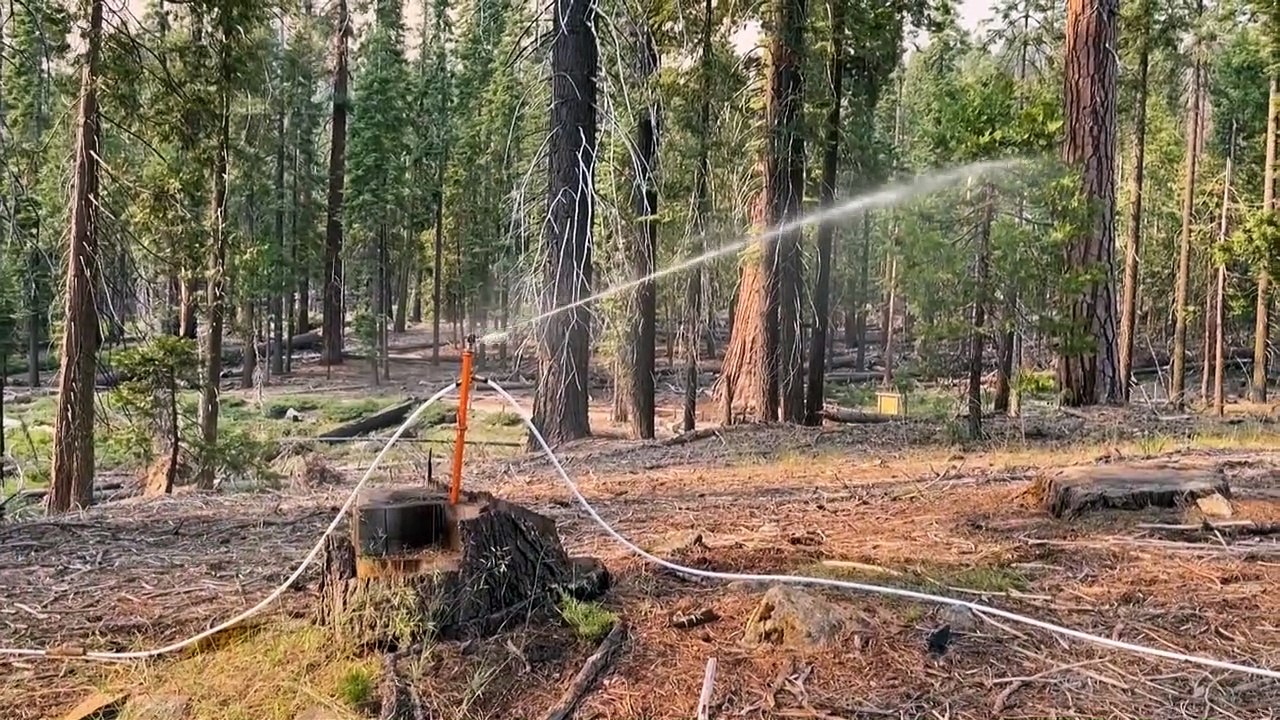 États-Unis: un violent incendie menace les séquoias géants du parc de Yosemite