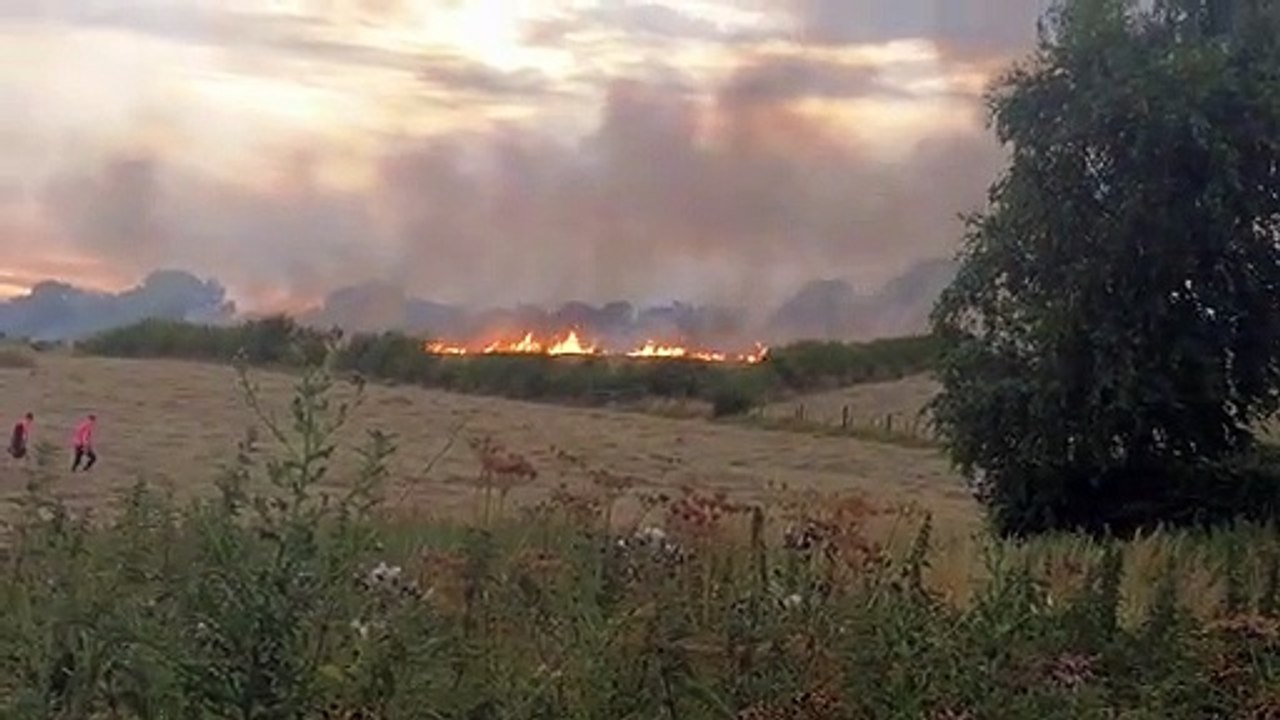 Fire crews fight wildfire at Haw Park Wood