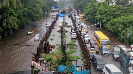 From Maharashtra to Telangana, no respite from heavy rainfall, several states on alert