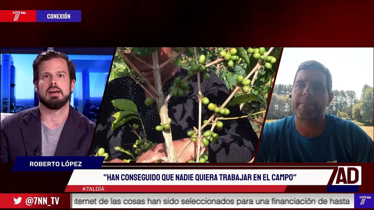 7 al Día - 11 de julio
