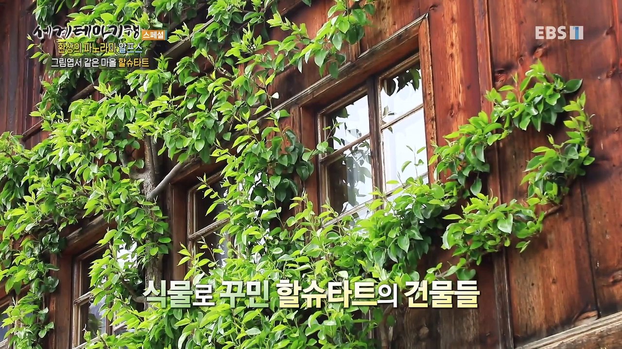 세계테마기행 - 환상의 파노라마- 축복의 땅, 알프스_#002
