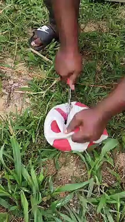 Le ballon